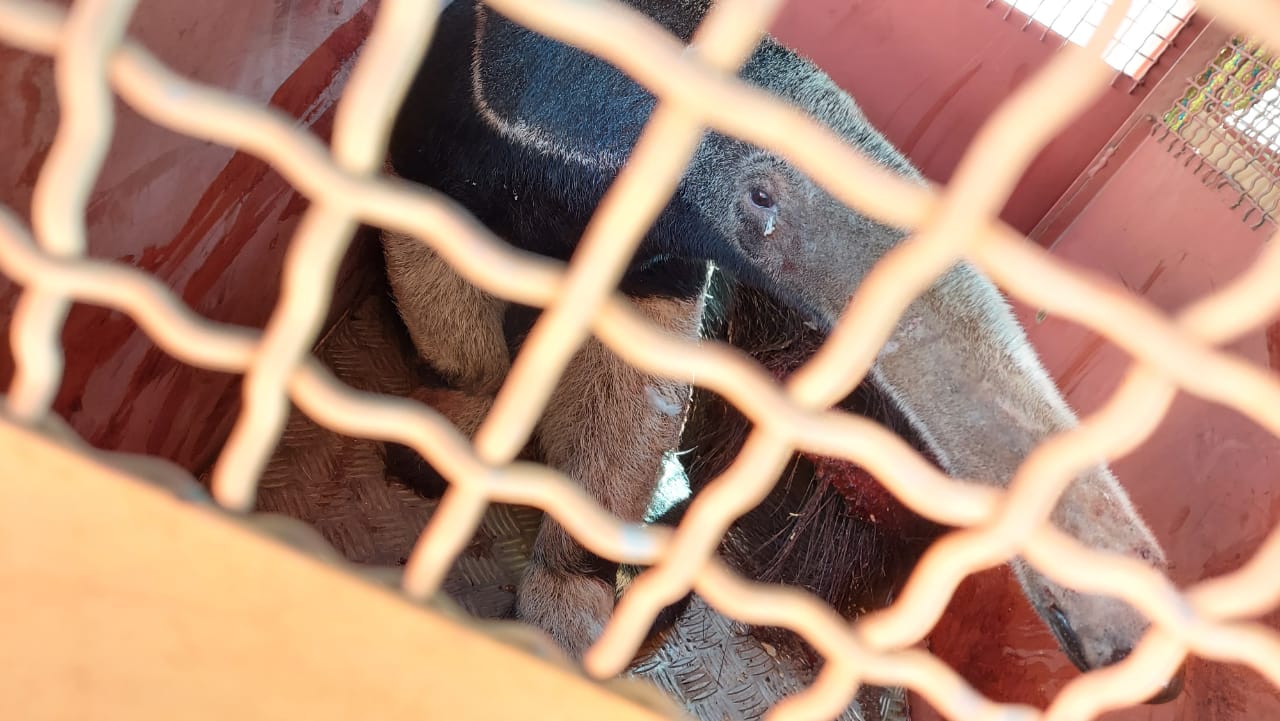 /20497WhatsApp Image 2021-07-01 at 08.50.55.jpeg